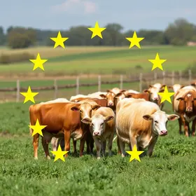 Para atender UE, governo estuda vetar o uso de antimicrobianos na pecuária