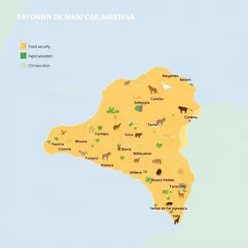 Mapa e FAO reforçam cooperação em segurança alimentar, defesa agropecuária e ação climática