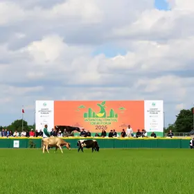 Campo Grande sedia Fórum Internacional da Agropecuária em 2026