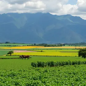 O Brasil no lugar da Argentina? A nova geopolítica da agropecuária mundial, por Marcio Pochmann