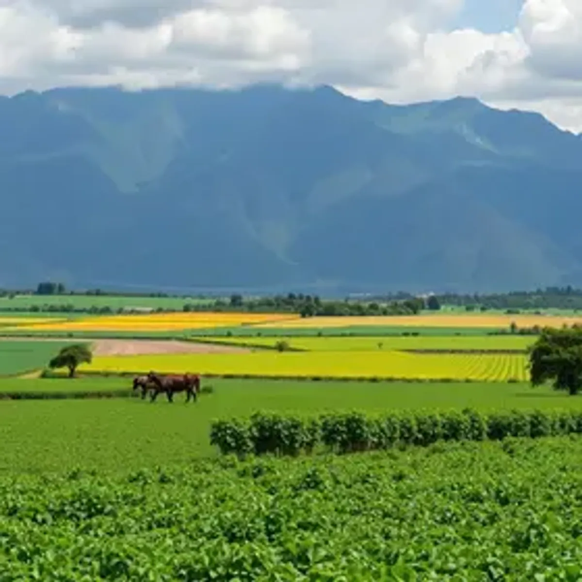 O Brasil no lugar da Argentina? A nova geopolítica da agropecuária mundial, por Marcio Pochmann