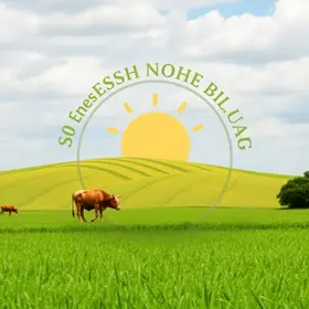 Pecuária sustentável ganha selo oficial e incentivo no crédito rural