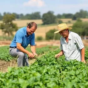 Plano Safra da Agricultura Familiar 2026/2027