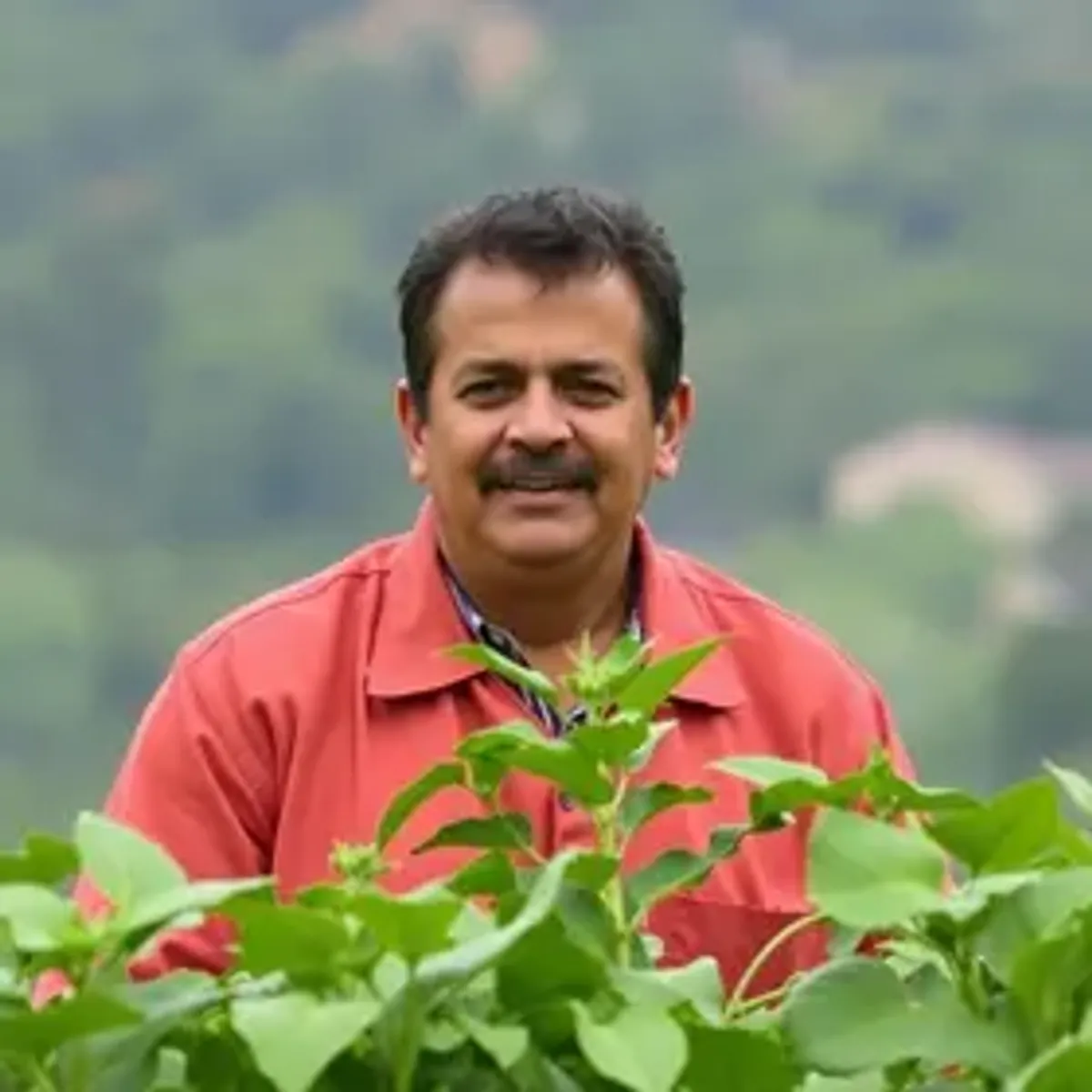 Quem é André de Paula, novo ministro da Agricultura e Pecuária