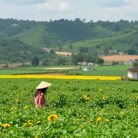 Governo do Brasil faz investimento recorde de R$ 97 bilhões na agricultura familiar