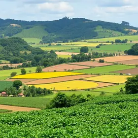 Em junho, Valor Bruto da Produção Agropecuária é estimado em R$ 1,4 trilhão