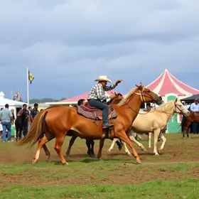 Feira Agropecuária de Oriximiná, no Pará, começa neste sábado com nove dias de shows e rodeios