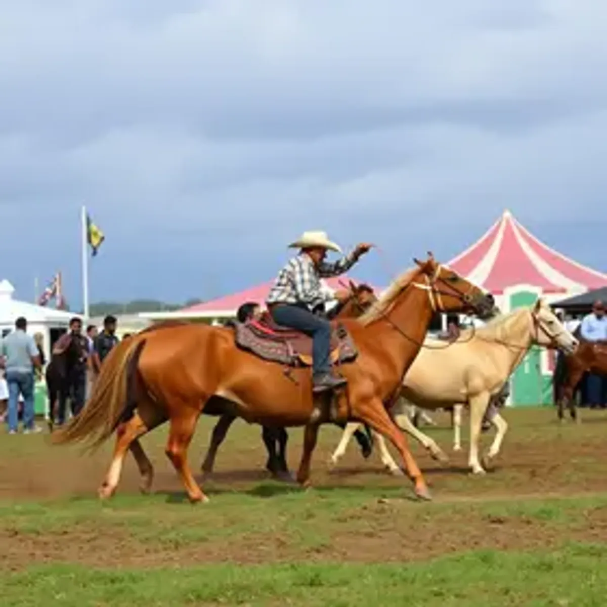 Feira Agropecuária de Oriximiná, no Pará, começa neste sábado com nove dias de shows e rodeios