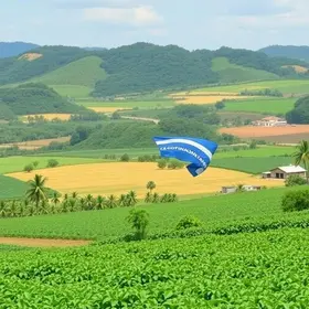 Agro brasileiro exporta US$ 16 bilhões em maio e responde por mais da metade das vendas externas do país