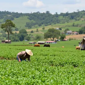 Agricultura de Jundiaí ganha novos incentivos com ampliação de serviços aos produtores rurais