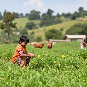MDA lança edital de até R$ 500 mil para fortalecer a agricultura familiar e a sociobiodiversidade