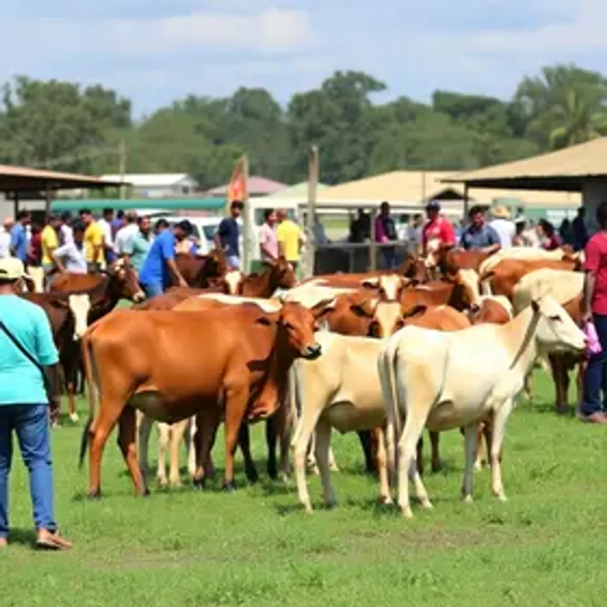 Maior feira agropecuária do Norte destaca semana de desenvolvimento e ações para a população em Rondônia