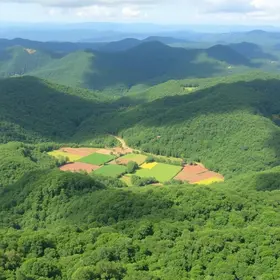 Senado aprova redução da Flona do Jamanxim e abre caminho para agropecuária e mineração no sudoeste do Pará