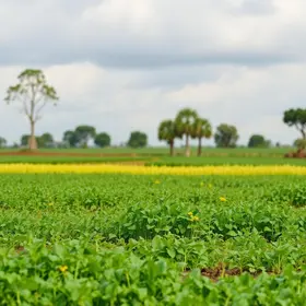 Encontro debate bioinsumos e adaptação da agricultura às mudanças climáticas