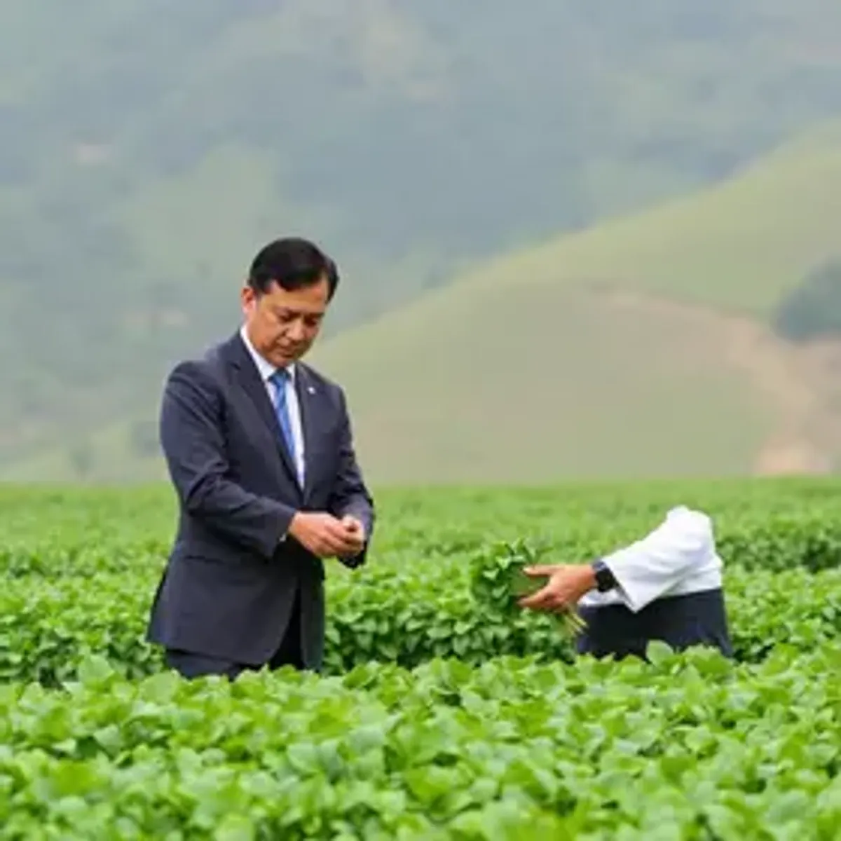 Ministro André de Paula se reúne com autoridades chinesas para fortalecer cooperação no agro