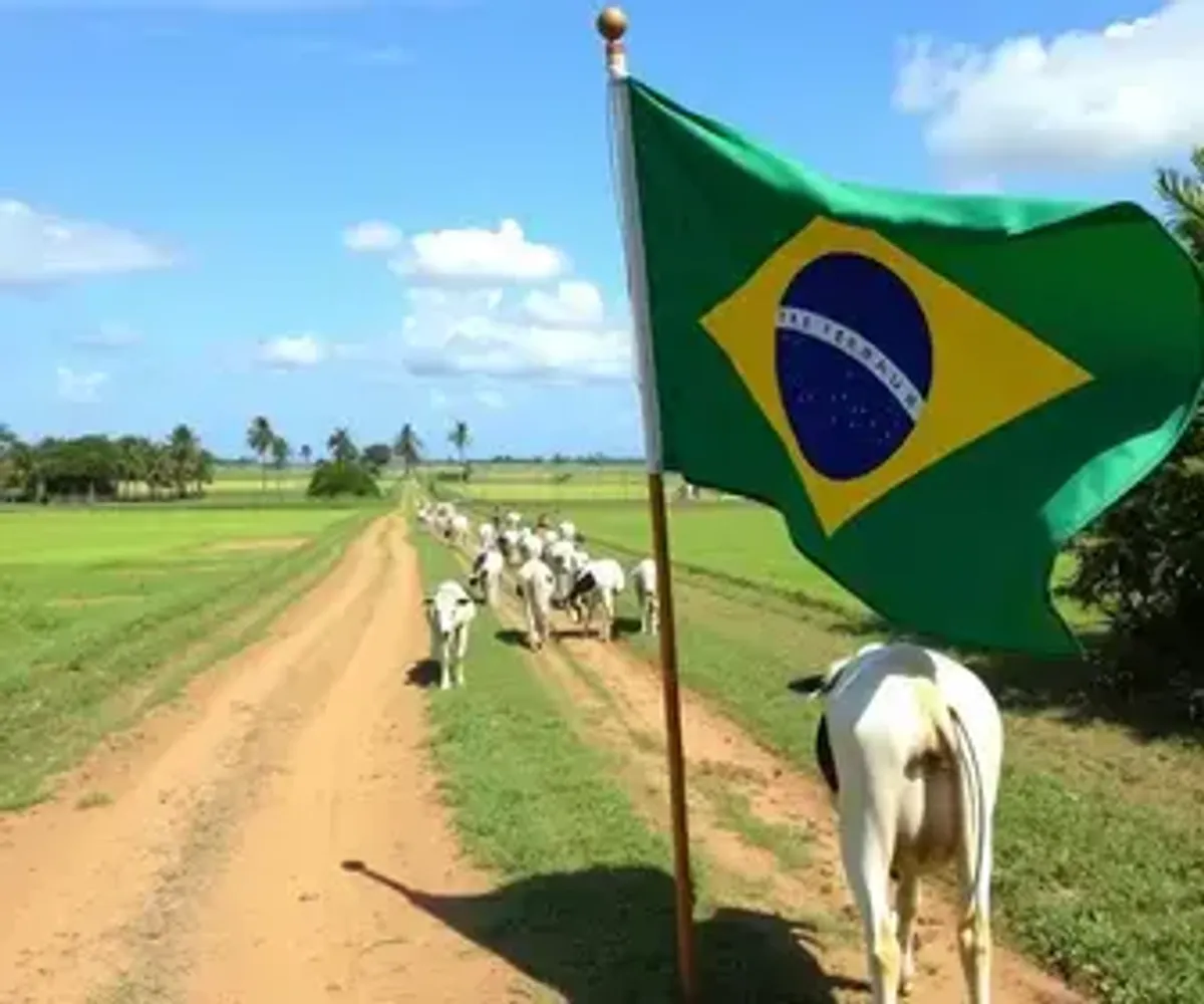 Sergipe recebe Rally Forrageiras para o Semiárido com tecnologias para fortalecer a pecuária leiteira
