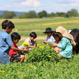 Escolas estaduais terão incentivo para desenvolver atividades sobre agropecuária