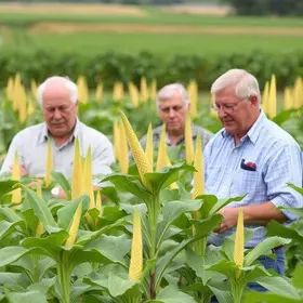 Comissão de Agricultura debate cobrança de royalties na produção de soja