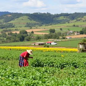 Agenda institucional do Ministério do Desenvolvimento Agrário e Agricultura Familiar no Rio Grande do Sul