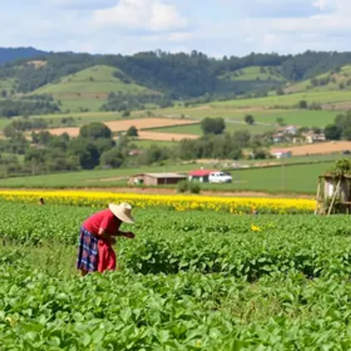 Agenda institucional do Ministério do Desenvolvimento Agrário e Agricultura Familiar no Rio Grande do Sul